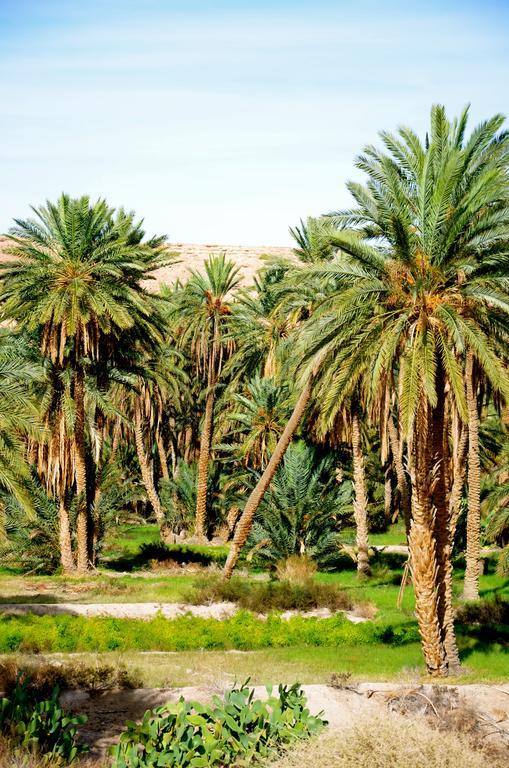 Dar Tozeur Hotel Bagian luar foto